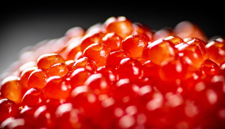 silverspoon, barcelona, spain, lifestyle, blog, caviar, finnish